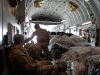 c-17 belly